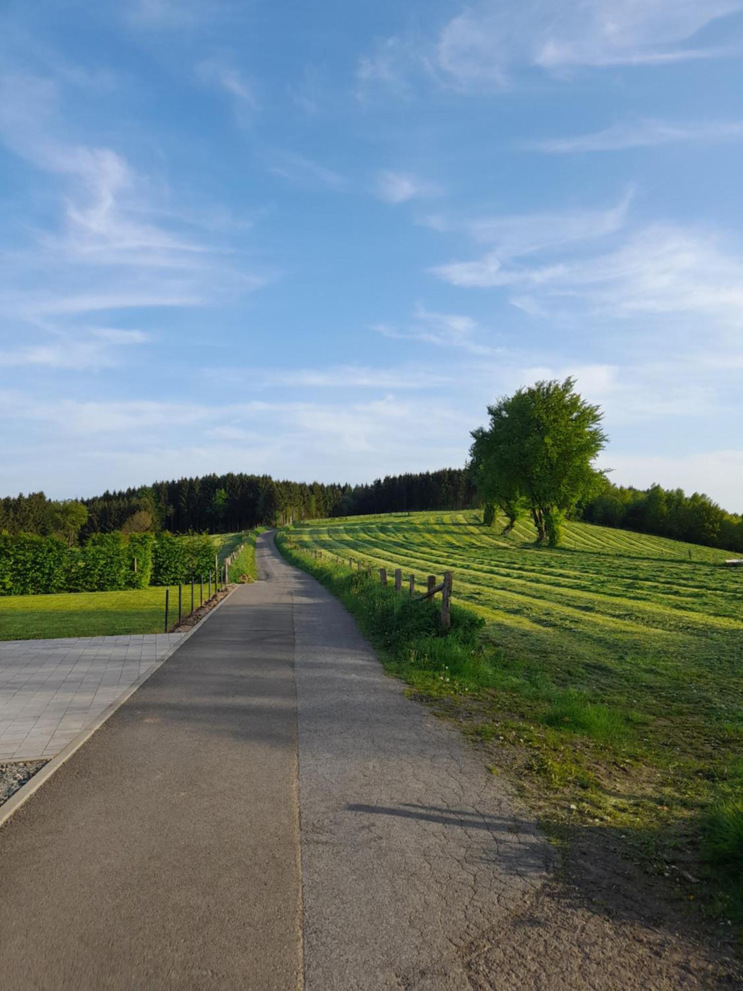 L'Ecureuil - Terrasses De Malmedy Villa Eksteriør billede