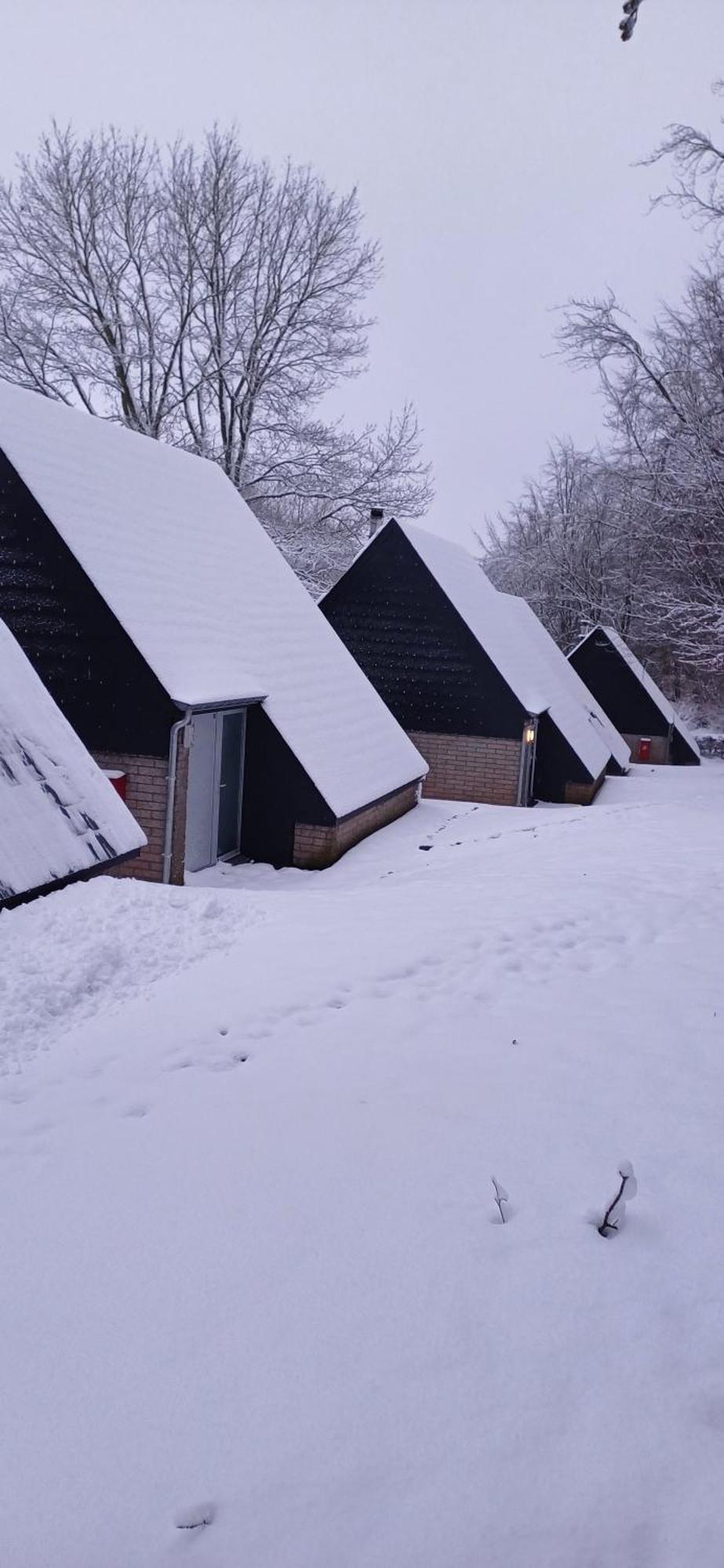 L'Ecureuil - Terrasses De Malmedy Villa Eksteriør billede